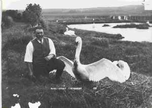 black and white photo of sir giles strangways and a swan