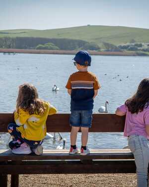 Three children sit on a bench by a lake, watching swans and ducks in the water.