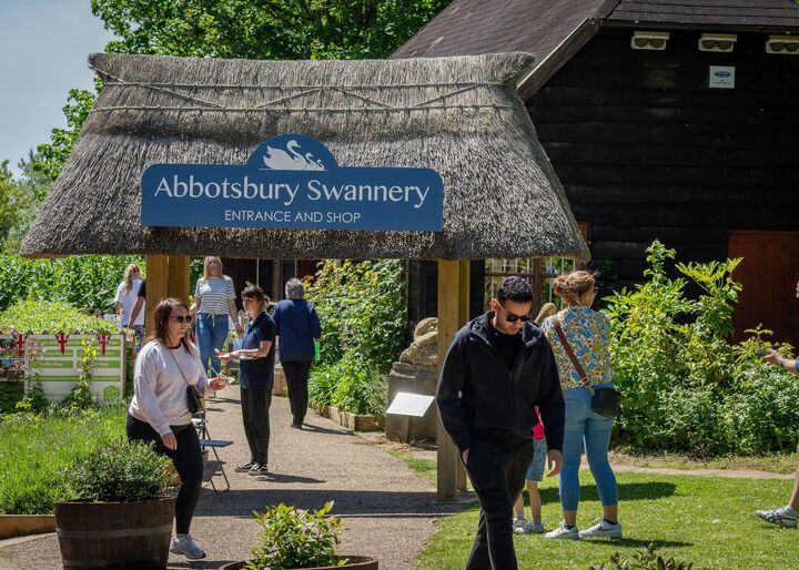 vistors gathered at the entrance of abbotsbury swannery