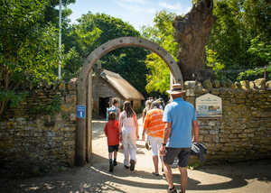families and visitors walking into abbotsbury swannery families and visitors walking into abbotsbury swannery