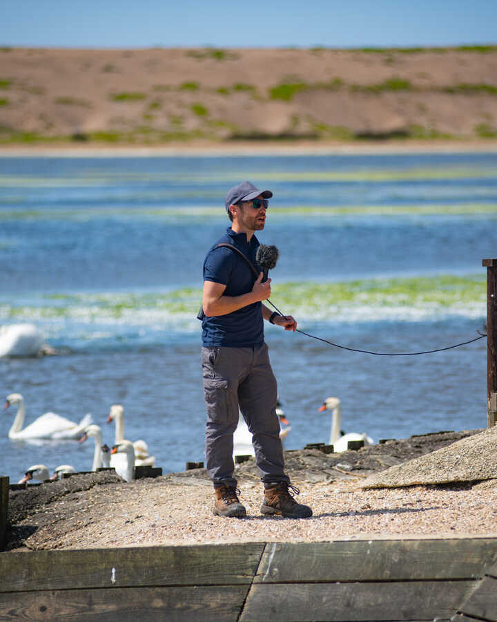 An informative talk on Swans on the edge of the lagoon at Abbotsbury Swannery