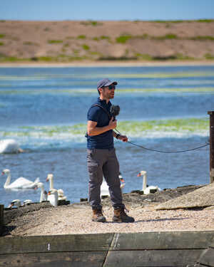 An informative talk on Swans on the edge of the lagoon at Abbotsbury Swannery