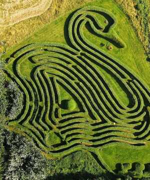 Aerial view of a large, intricate maze shaped like a swan in a green field.