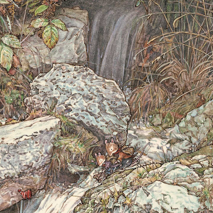 Brambly Hedge 2025 trail